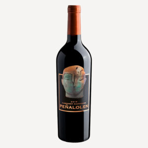 Penalolen Cabernet Sauvignon Tinto 750 ml